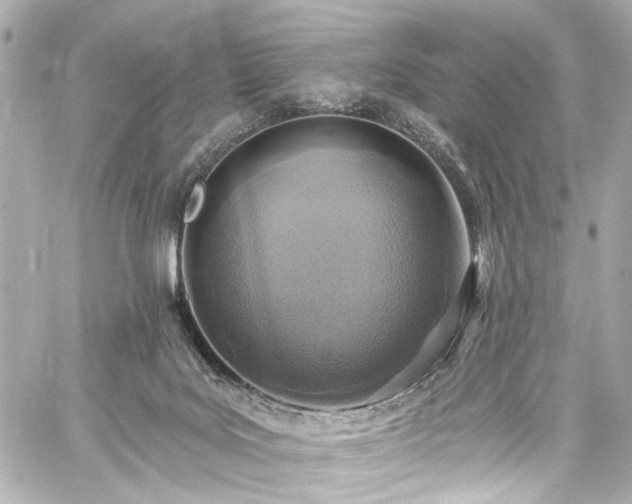 X0000059100027200510101230