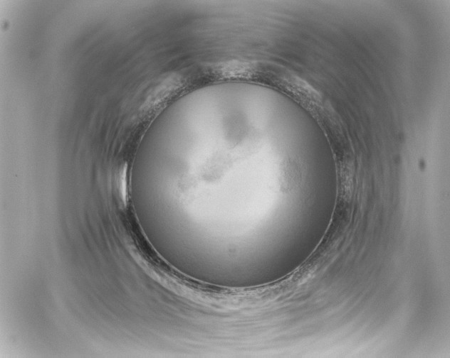 X0000059100028200510101230