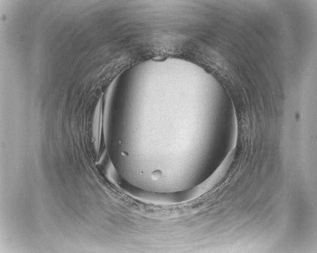 X0000059100029200510101230