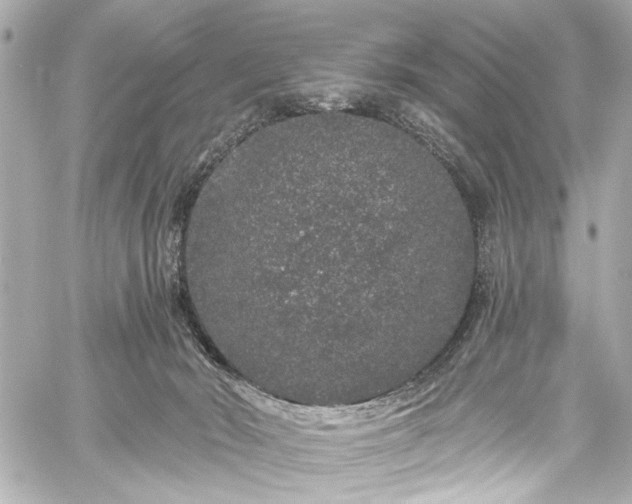 X0000059100030200510101230