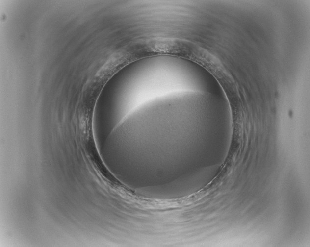 X0000059100031200510101230