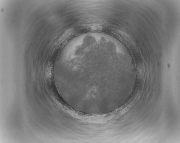 X0000059100032200510101230