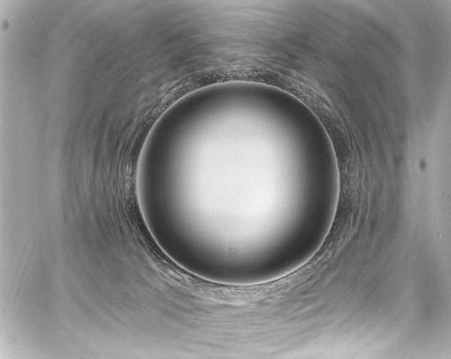 X0000059100033200510101230