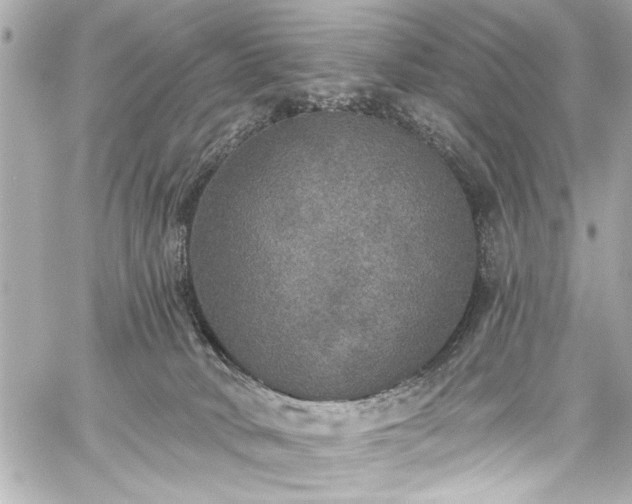 X0000059100034200510101230