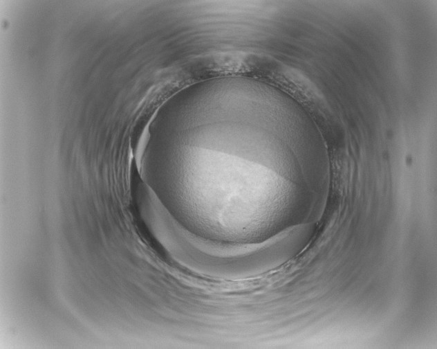 X0000059100035200510101230