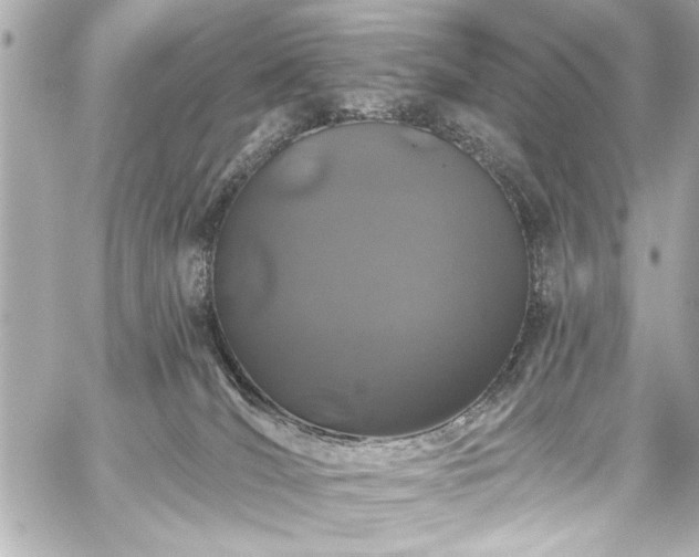 X0000059100036200510101230