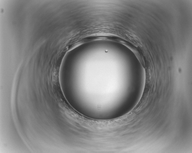 X0000059100037200510101230