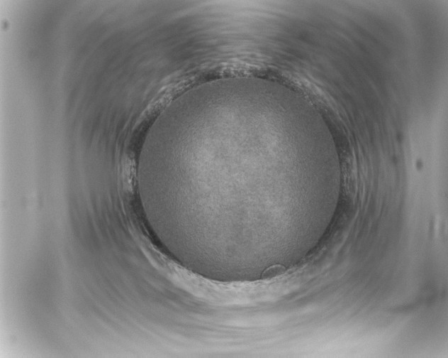 X0000059100038200510101230