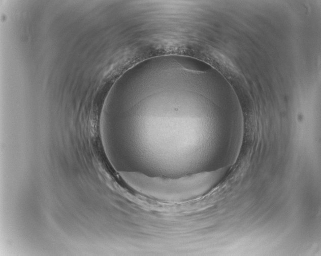 X0000059100039200510101230