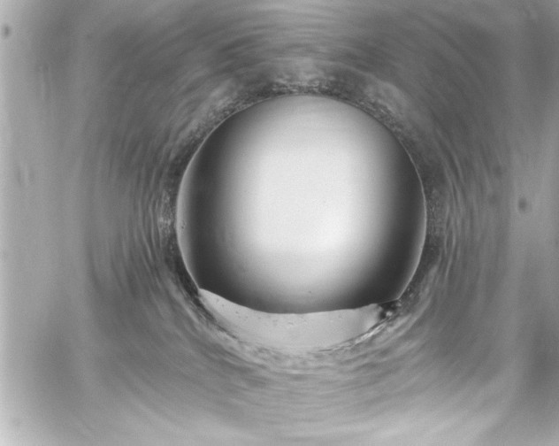 X0000059100040200510101230