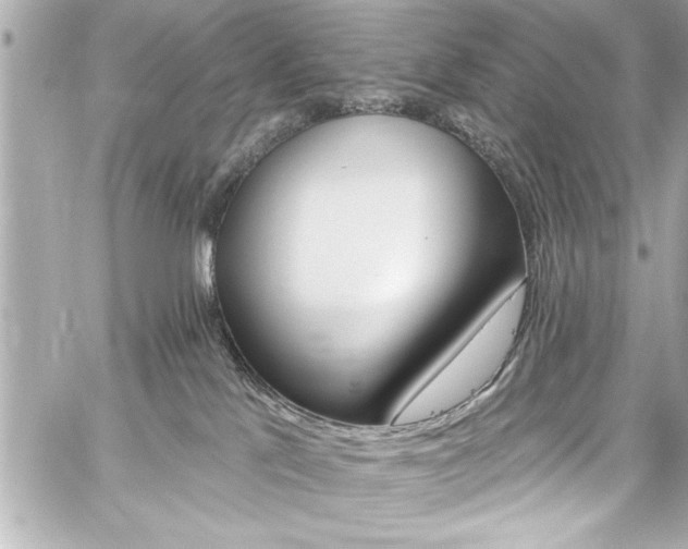 X0000059100041200510101230