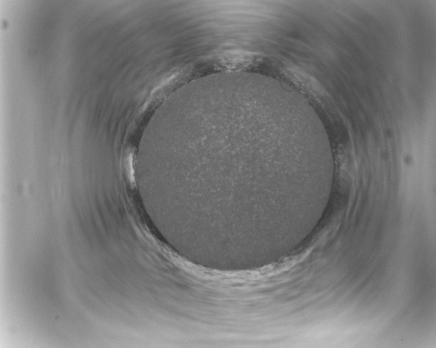 X0000059100042200510101230