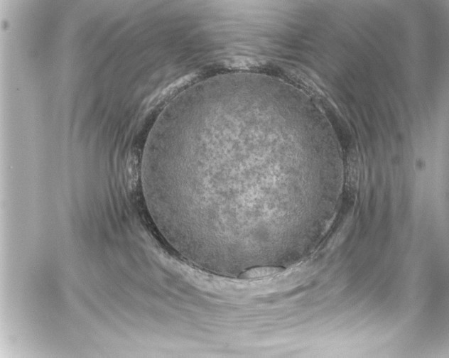 X0000059100043200510101230