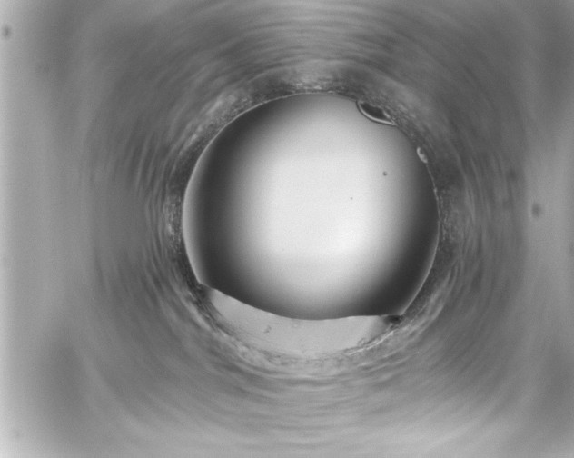 X0000059100044200510101230