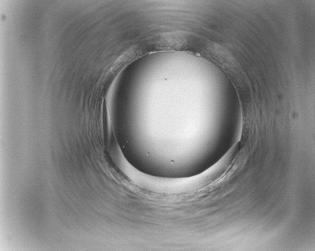 X0000059100045200510101230