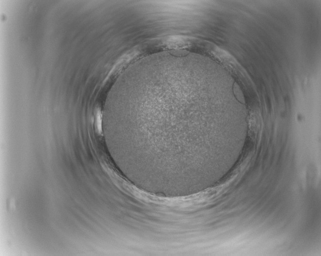 X0000059100046200510101230