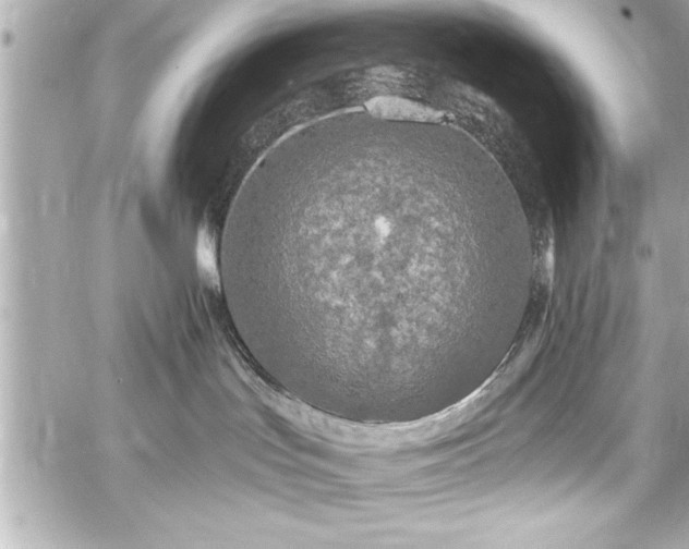 X0000059100047200510101229