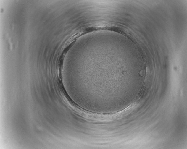 X0000059100048200510101229