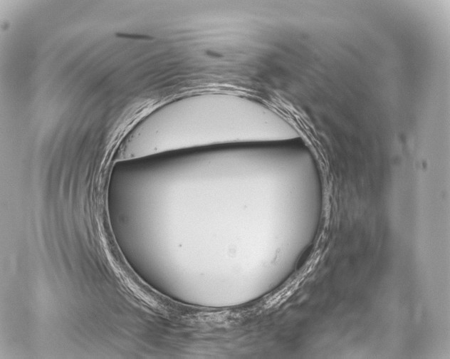 X0000059100049200510101229