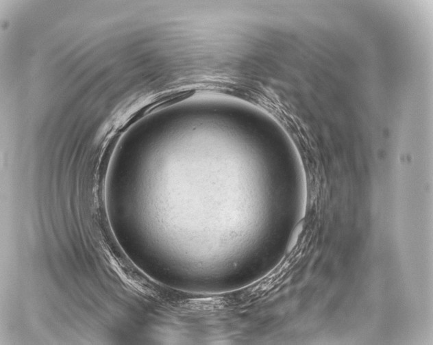 X0000059100050200510101229