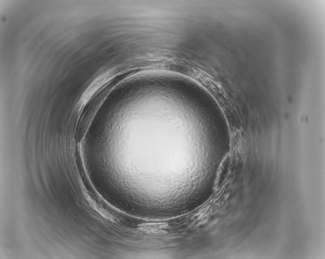 X0000059100051200510101229