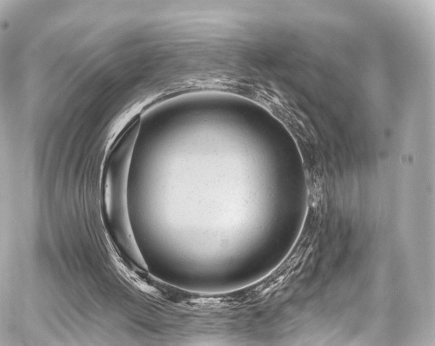 X0000059100052200510101229