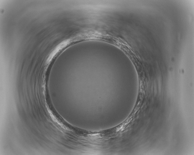 X0000059100054200510101229