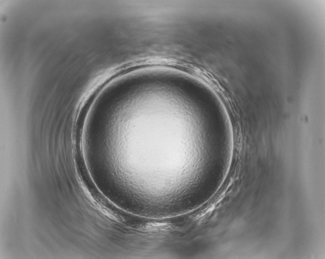 X0000059100055200510101229