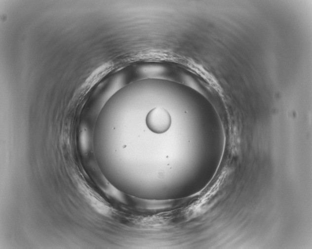 X0000059100057200510101229