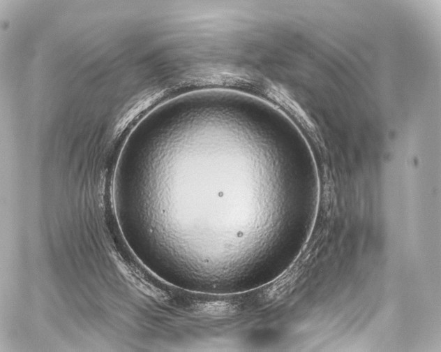 X0000059100058200510101229