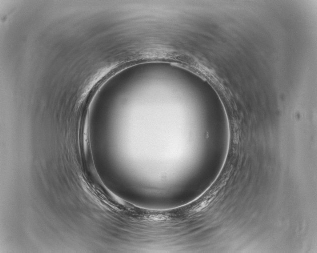 X0000059100060200510101229