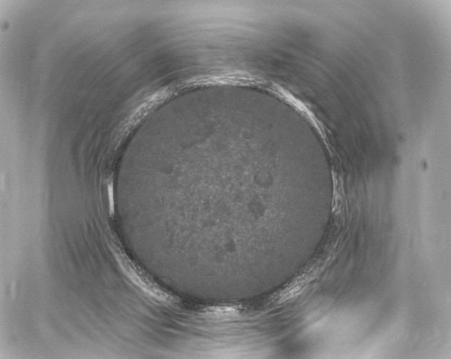 X0000059100061200510101229