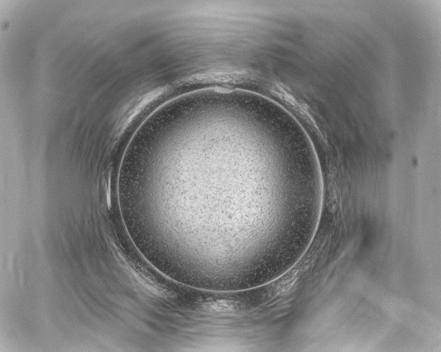 X0000059100062200510101229