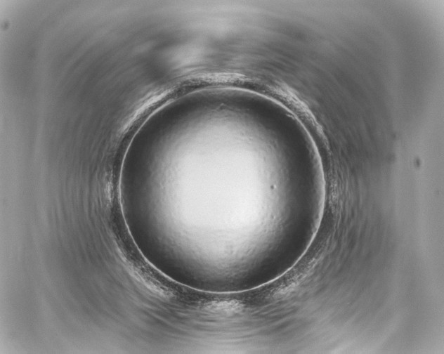 X0000059100063200510101229