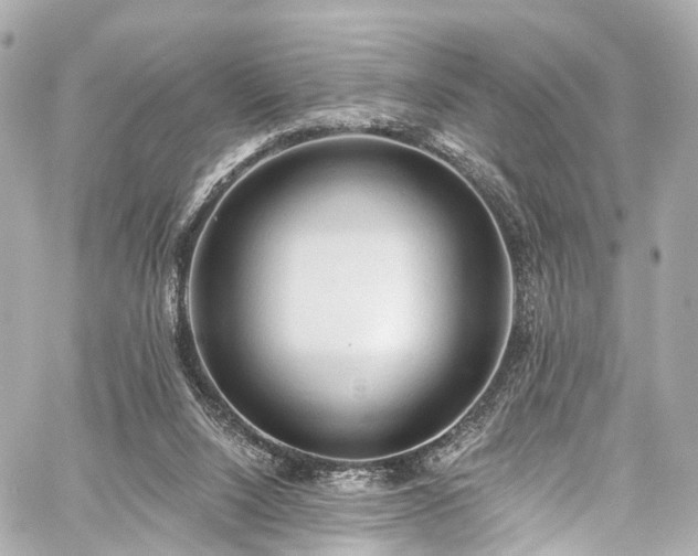 X0000059100064200510101229