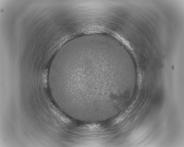 X0000059100065200510101229