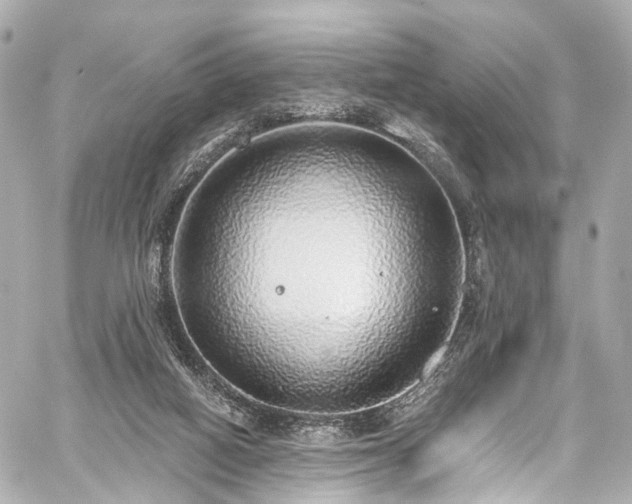 X0000059100066200510101229