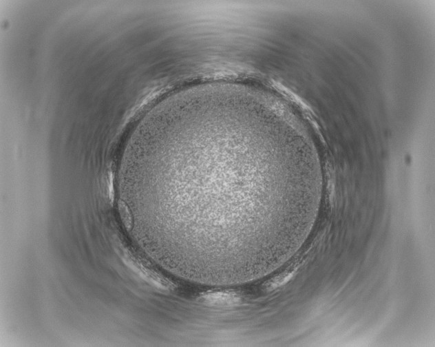 X0000059100067200510101229