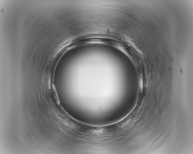 X0000059100068200510101229