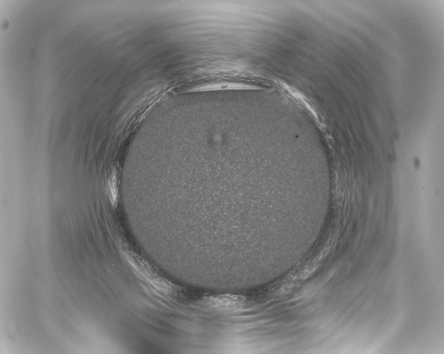 X0000059100069200510101229