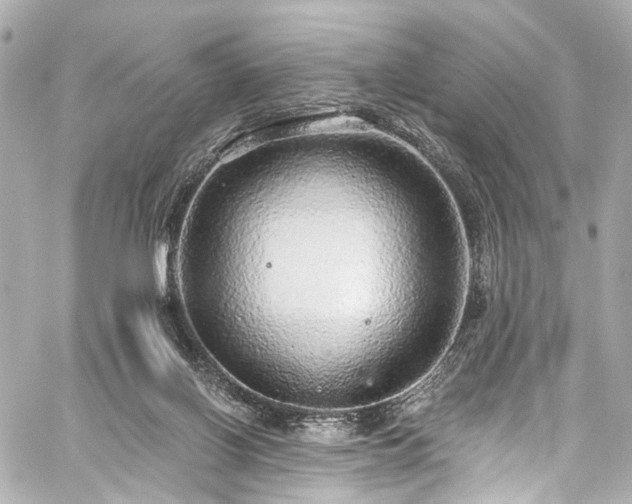 X0000059100070200510101229