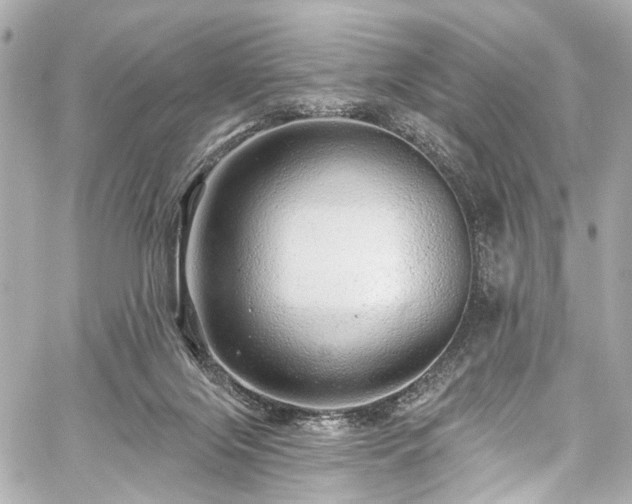 X0000059100071200510101229