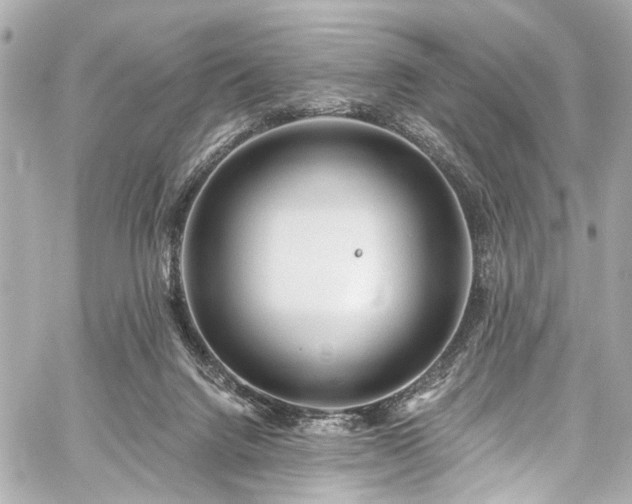 X0000059100072200510101229