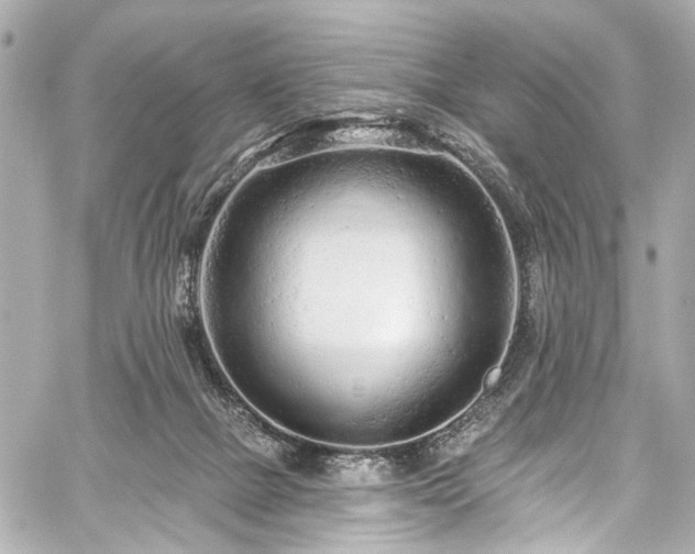 X0000059100073200510101229