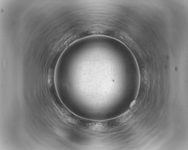 X0000059100074200510101229