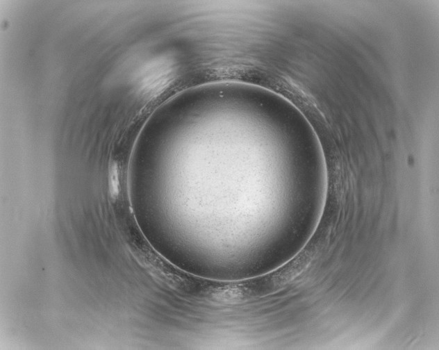 X0000059100075200510101229