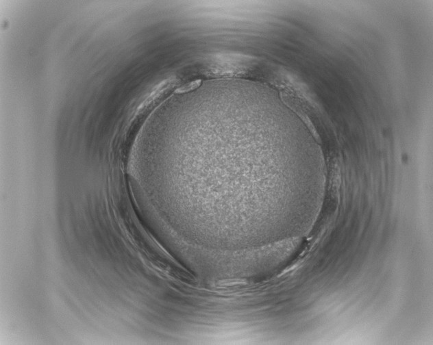 X0000059100076200510101229