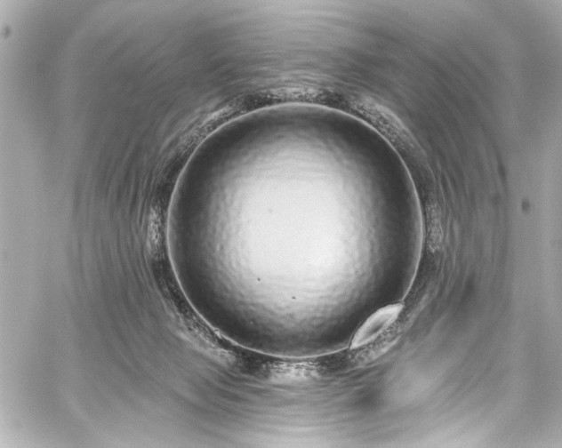 X0000059100077200510101229