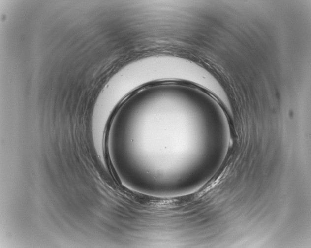 X0000059100078200510101229