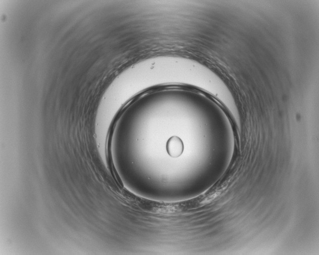 X0000059100079200510101229